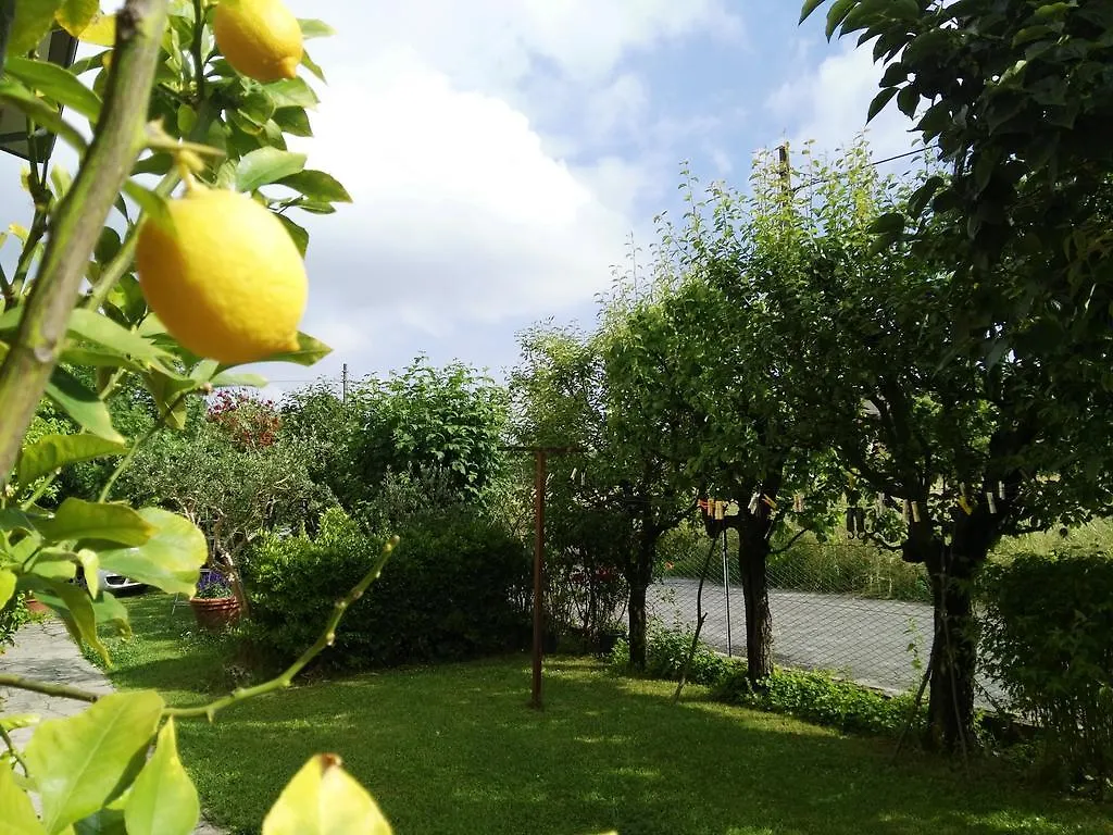 Casa Mite Apartment Pietrasanta